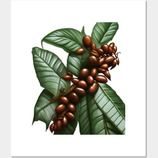 coffee plant Posters and Art